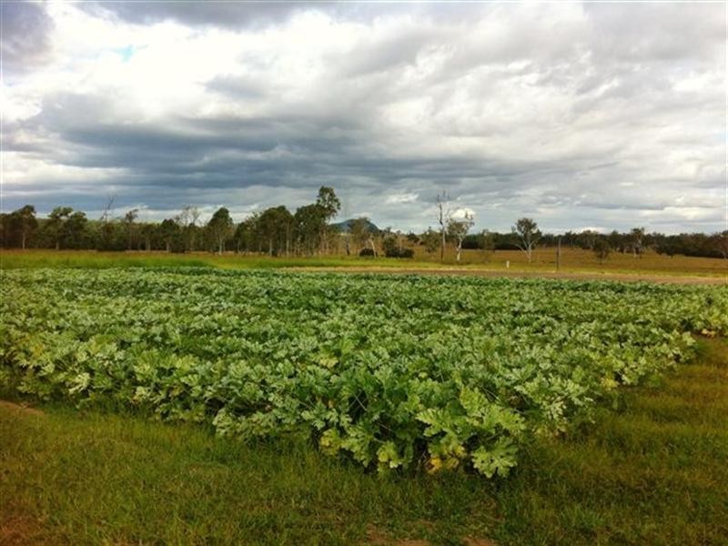 13 Cummings Road, Calvert QLD 4340