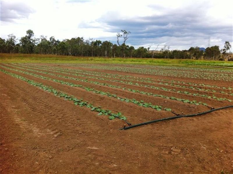 13 Cummings Road, Calvert QLD 4340