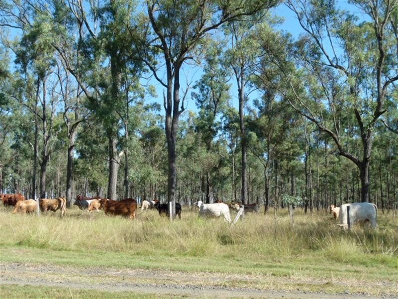 102 Jacobs Road, Mount Forbes QLD 4340