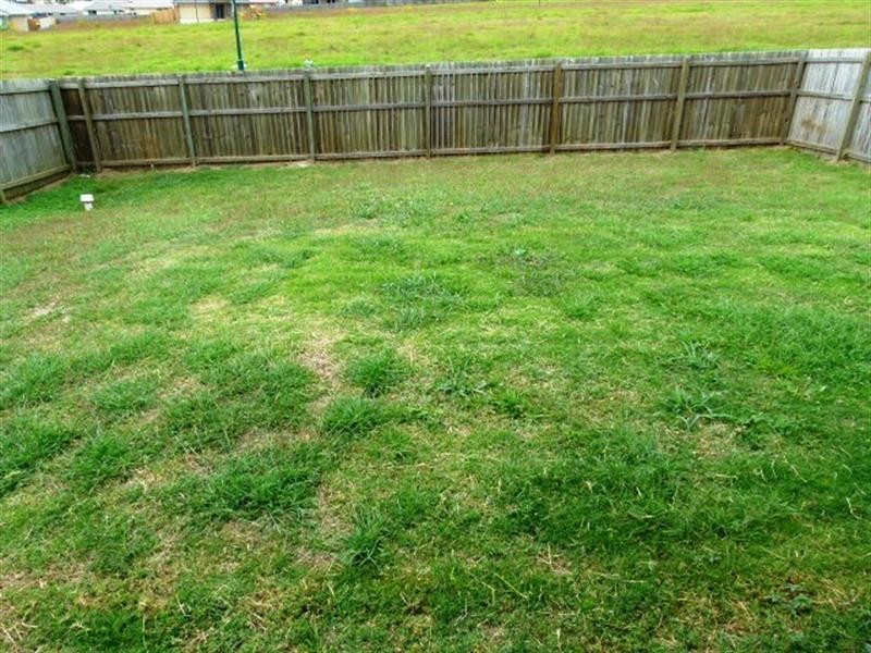 3 Nicole Place, Yamanto QLD 4305