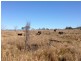 2808 Rosewood-Warrill View Road, Warrill View QLD 4307