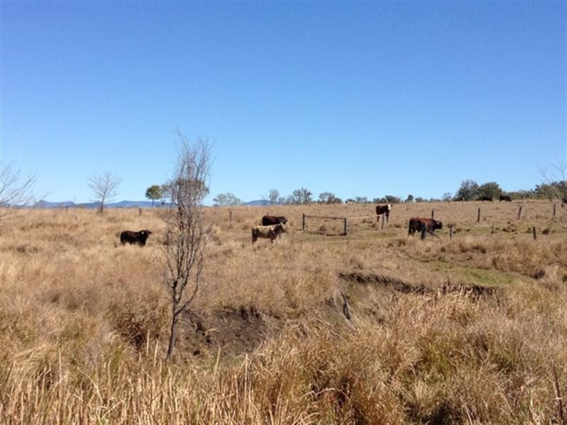2808 Rosewood-Warrill View Road, Warrill View QLD 4307
