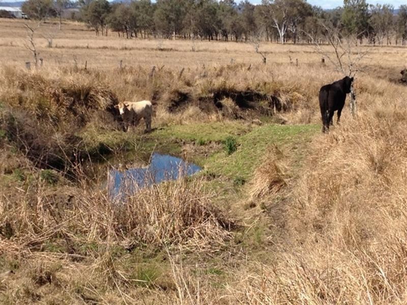 2808 Rosewood-Warrill View Road, Warrill View QLD 4307