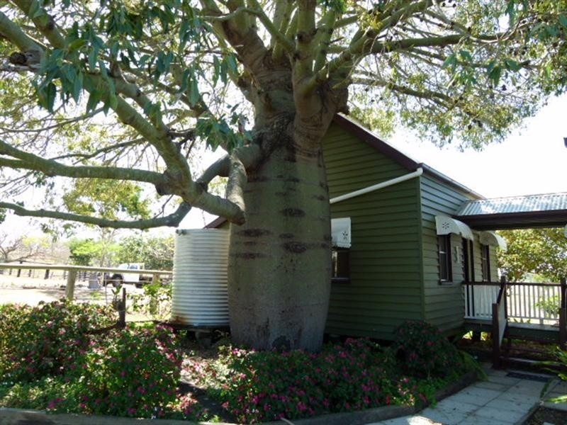 0 Dobelis Road, Mount Forbes QLD 4340