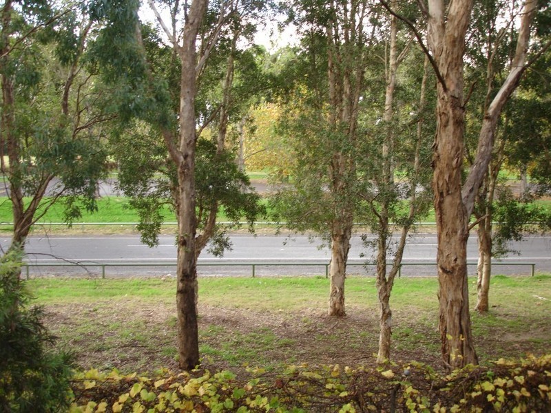 Chipping Norton NSW 2170