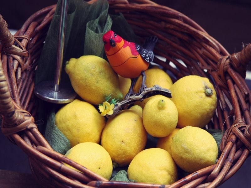 2-4 Murray Street, Brunswick West VIC 3055