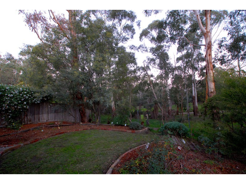 19 Waters Grove, Heathmont VIC 3135