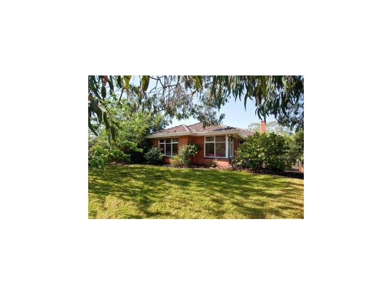 16 Lindsay Street, Bulleen VIC 3105