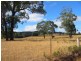 1140 Kinglake-Glenburn Road, Kinglake VIC 3763