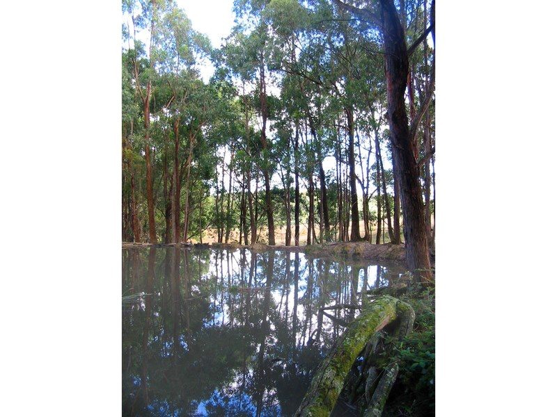 1140 Kinglake-Glenburn Road, Kinglake VIC 3763