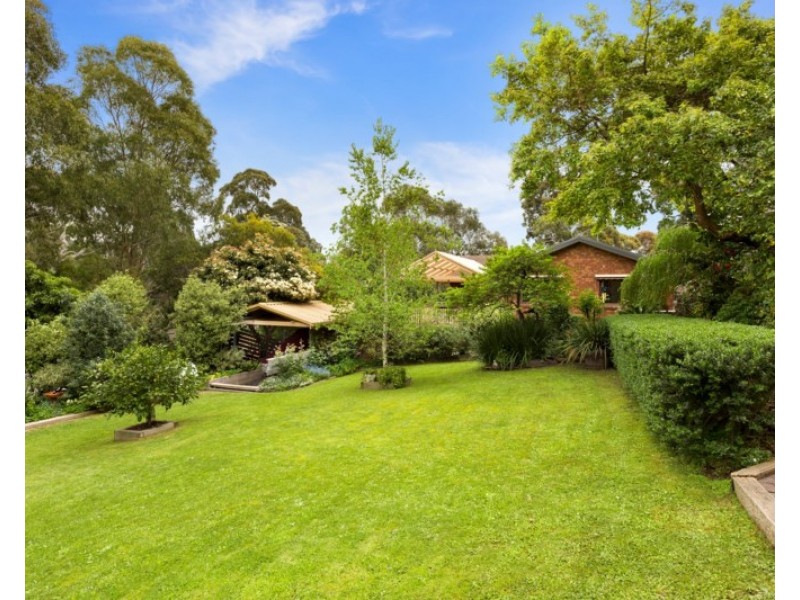 6 Tulip Court, Warranwood VIC 3134