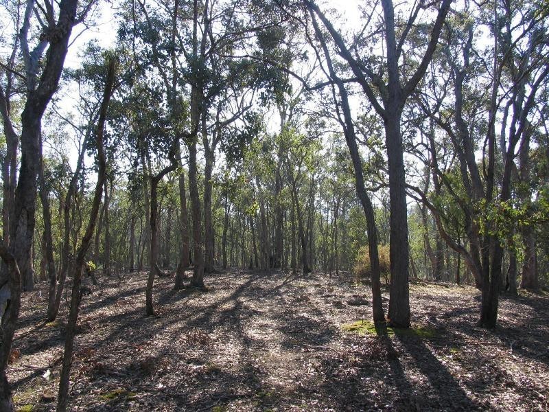 145 Overbank Road, Eltham VIC 3095