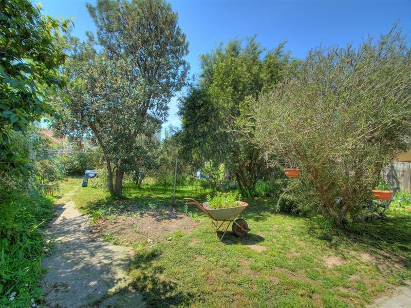 3 Monash Avenue, Balwyn VIC 3103