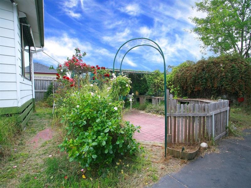 51 Peter Street, Box Hill North VIC 3129