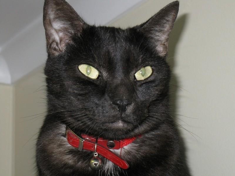 21A Boogalla Crescent, South Hedland WA 6722