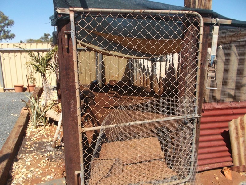 14 Hawkins Street, South Hedland WA 6722