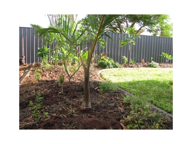 2/1 Brown Place, South Hedland WA 6722