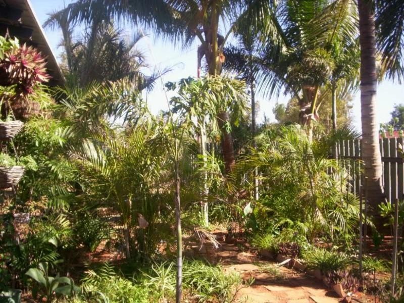 19 MAUGER Place, South Hedland WA 6722