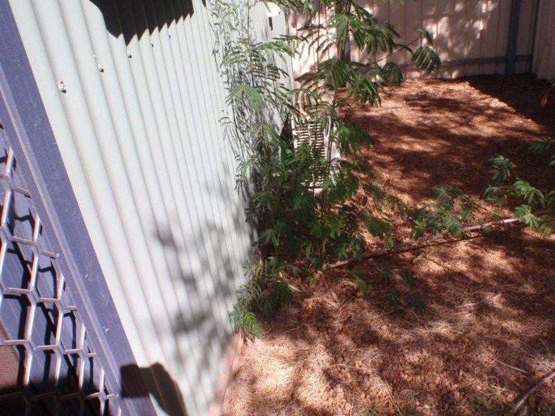 2/4 Reynolds Place, South Hedland WA 6722