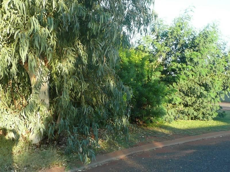 1 Mannion, South Hedland WA 6722