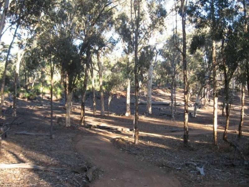 49 Darwinia Crescent, Coondle WA 6566