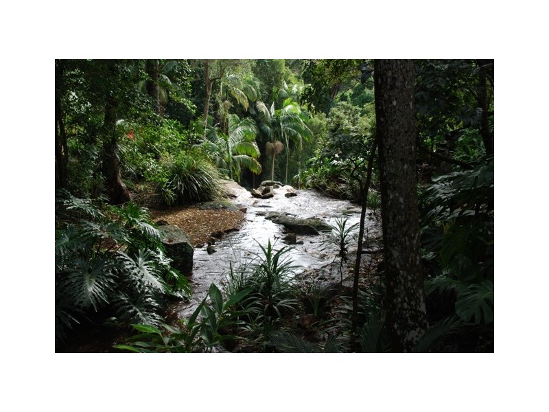 66 Licuala Drive Has never changed hands!, North Tamborine QLD 4272