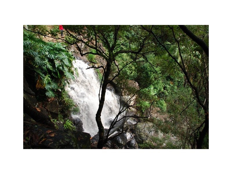 66 Licuala Drive Has never changed hands!, North Tamborine QLD 4272