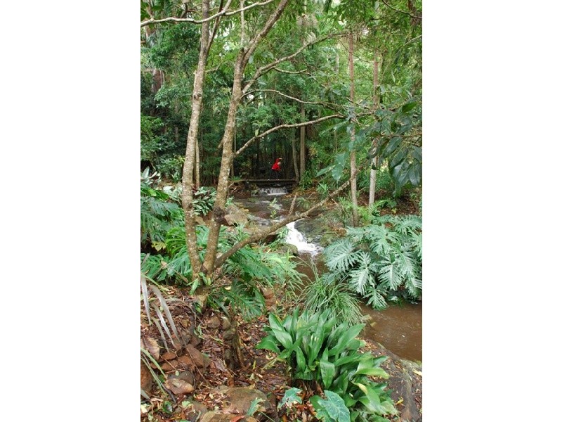 66 Licuala Drive Has never changed hands!, North Tamborine QLD 4272