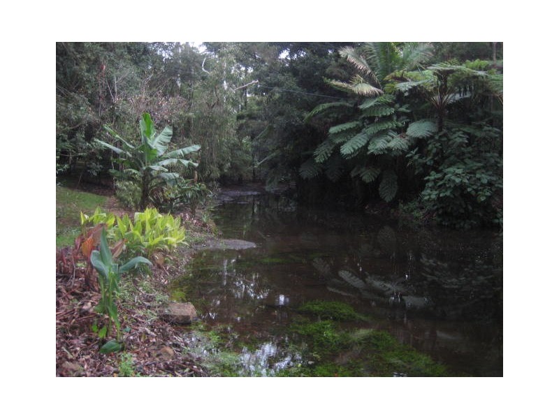 66 Licuala Drive Has never changed hands!, North Tamborine QLD 4272