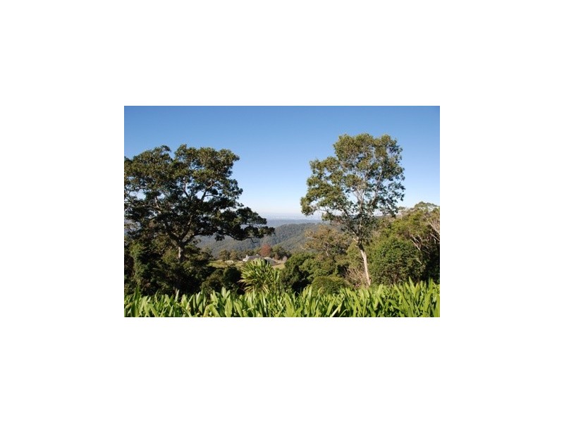 66 Licuala Drive Has never changed hands!, North Tamborine QLD 4272