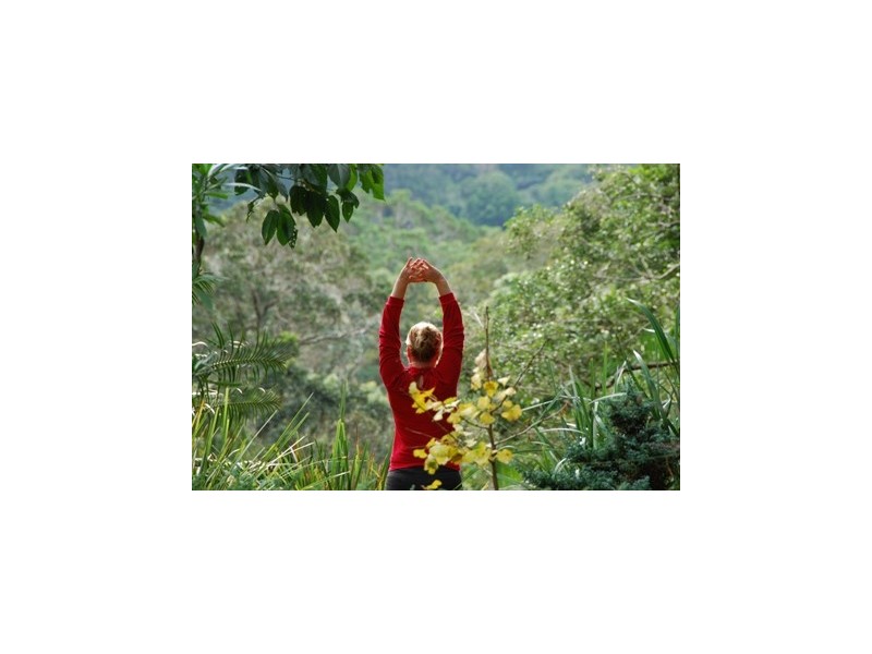 66 Licuala Drive Has never changed hands!, North Tamborine QLD 4272