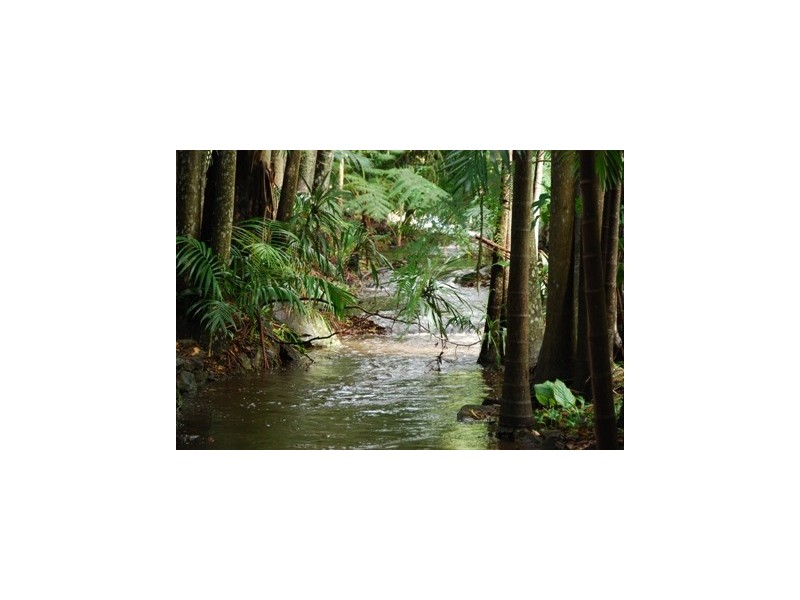 66 Licuala Drive Has never changed hands!, North Tamborine QLD 4272