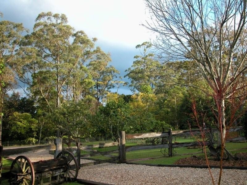 Spring Collection – Pre Release, Tamborine Mountain QLD 4272