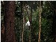 Spring Collection – Pre Release, Tamborine Mountain QLD 4272