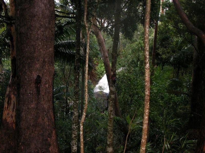 Spring Collection – Pre Release, Tamborine Mountain QLD 4272