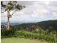 North Tamborine QLD 4272