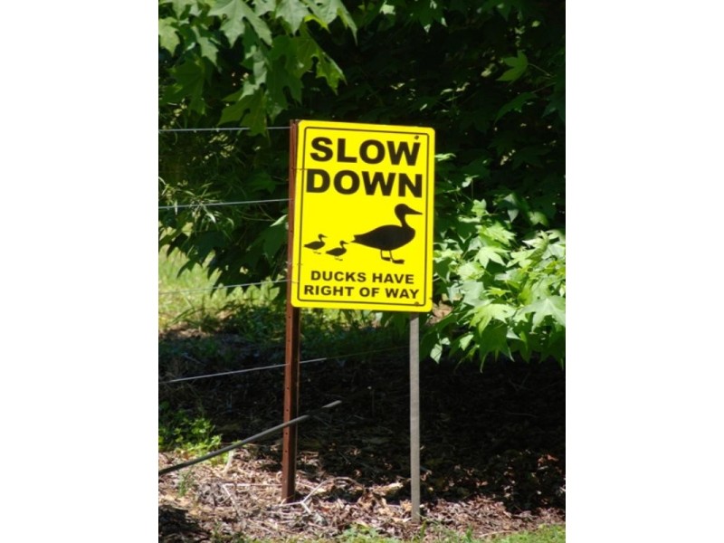 North Tamborine QLD 4272