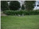 North Tamborine QLD 4272