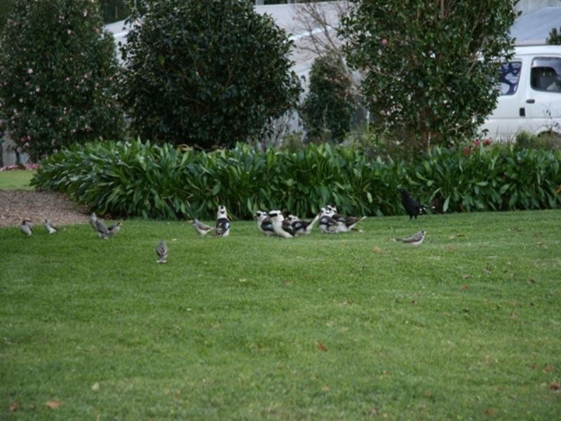 North Tamborine QLD 4272