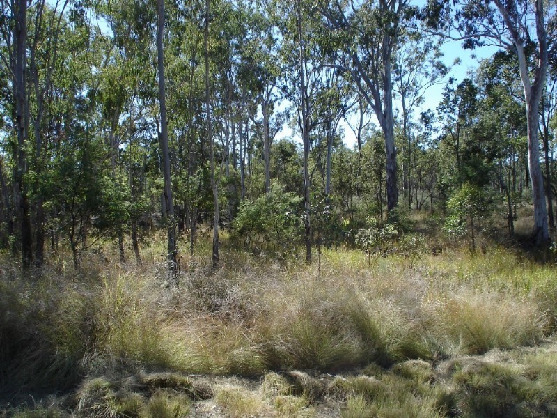 lot51 Raymond Road, Tarong QLD 4615