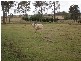 Kingaroy QLD 4610