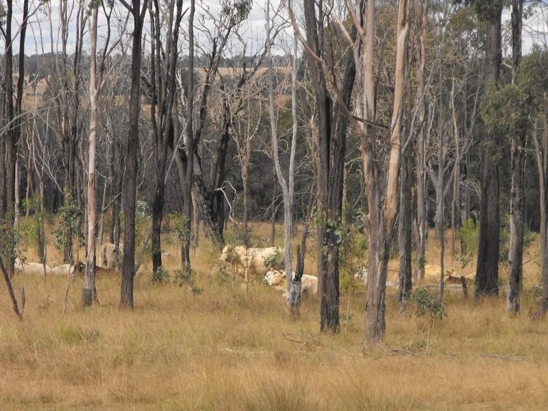 Kingaroy QLD 4610