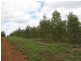 Proston QLD 4613