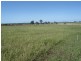 Kingaroy QLD 4610
