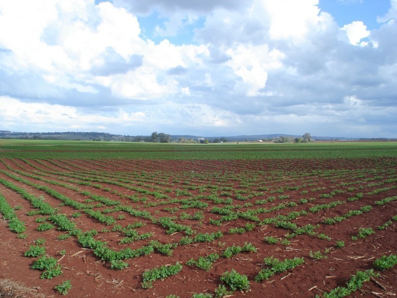 1 West Street, Kingaroy QLD 4610