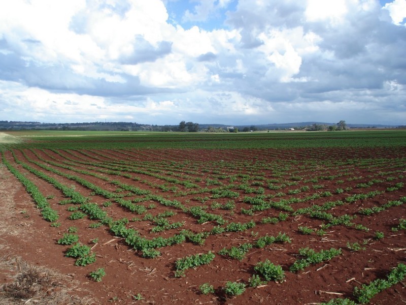 1 West Street, Kingaroy QLD 4610