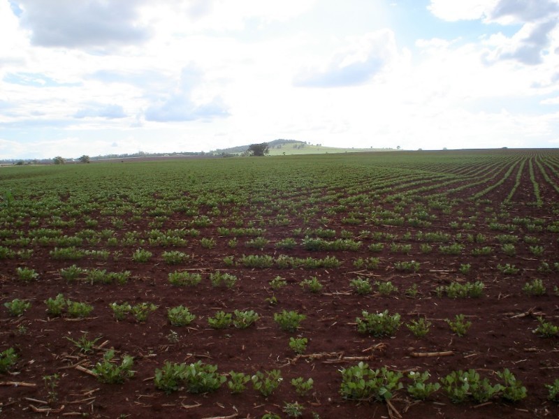 1 West Street, Kingaroy QLD 4610