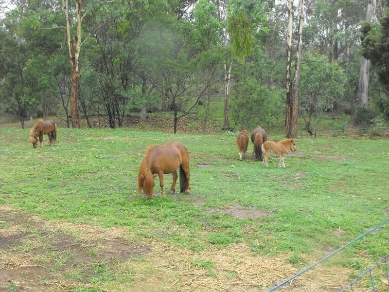Nanango QLD 4615