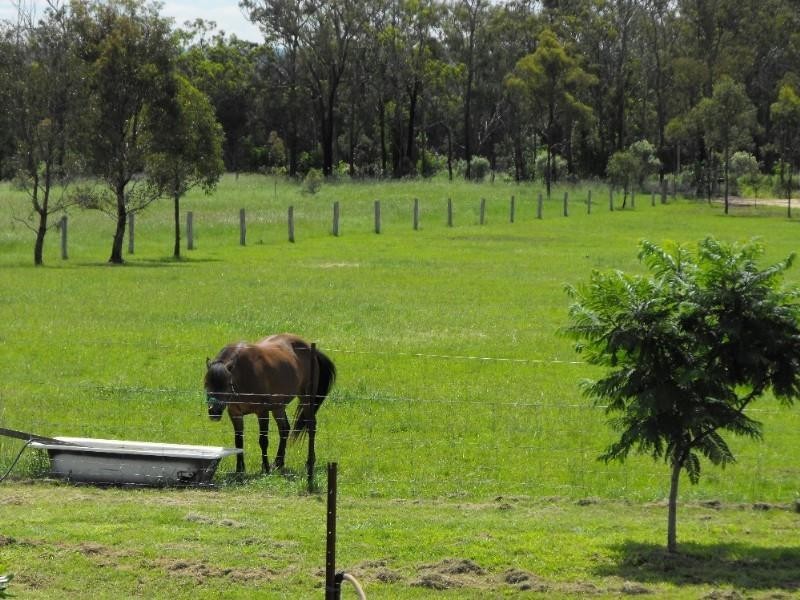 Ellesmere QLD 4610