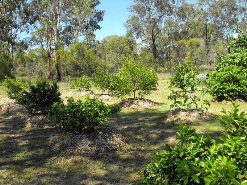 224 Brocklehurst Road, Wattle Camp QLD 4615